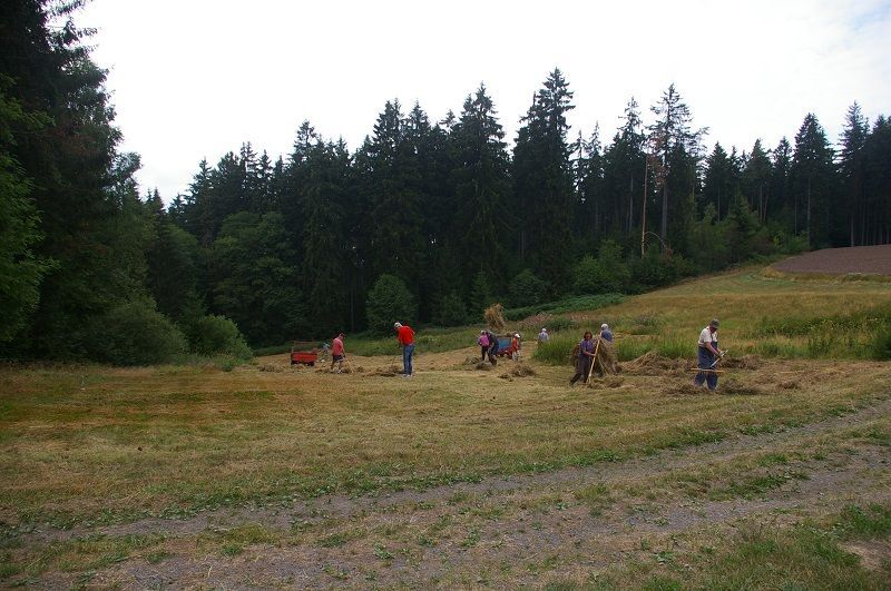 Wiesenpflege bedeutet Teamarbeit...