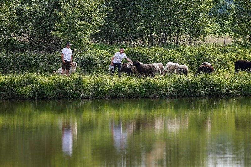 Gutbürgerlicher Gasthof in Händen der Familie Geiger