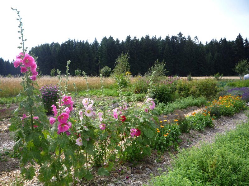Naturhof Fassmannsreuther Erde - biologisch angebaute Produkte