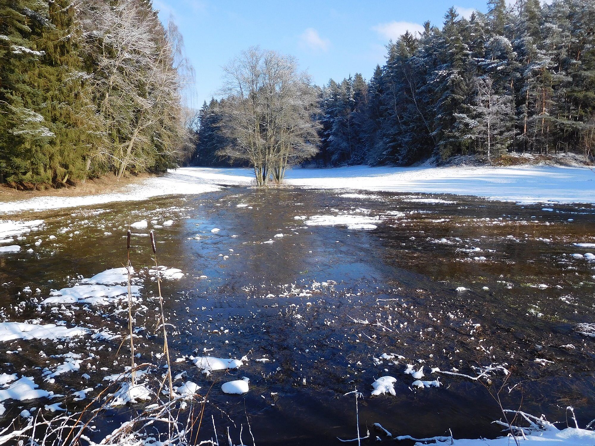 Krebsteich in der Gemarkung Höchstädt im Fichtelgebirge