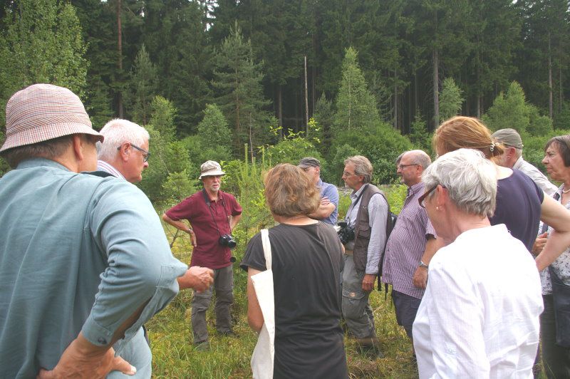 Waldmoor Großwendern - Biotope BN Wunsiedel