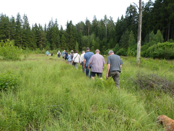 Waldmoor Großwendern