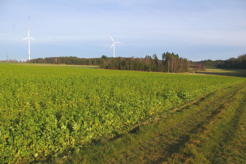 Mega-Gewerbegebiet Thiersheim - Bernstein