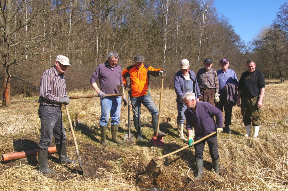 Naturschutz im Grünenband bei Hohenberg