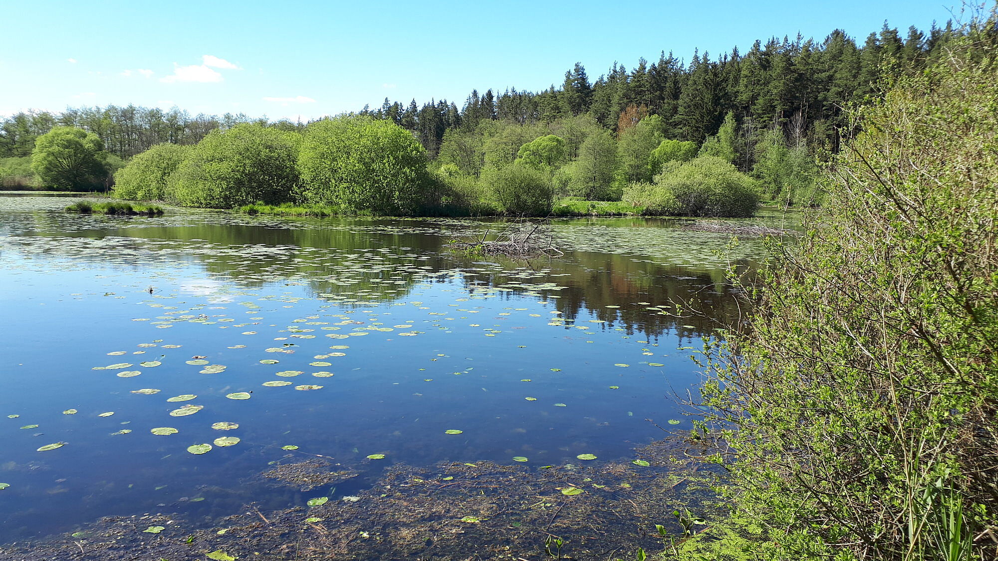 BN-Exkursionen Egerauen Röslau