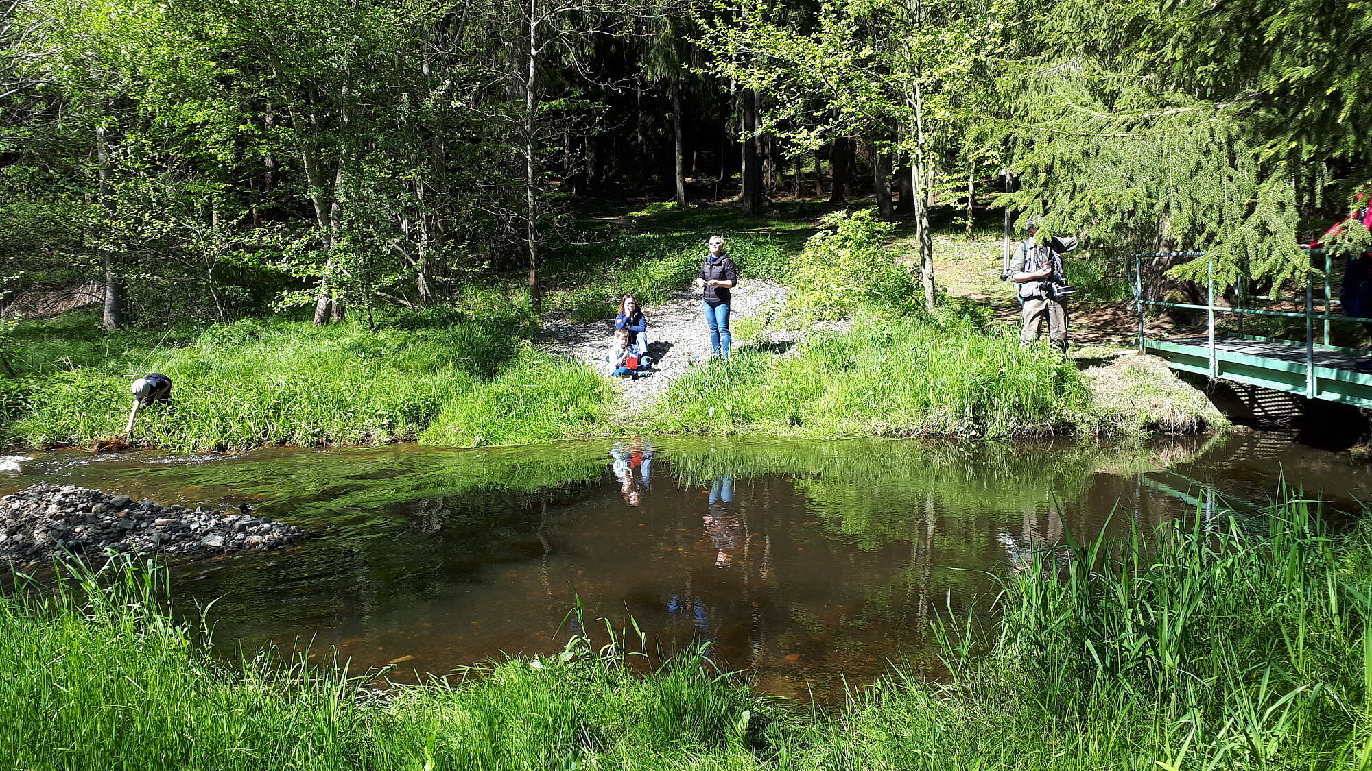 BN-Exkursionen Egerauen Röslau