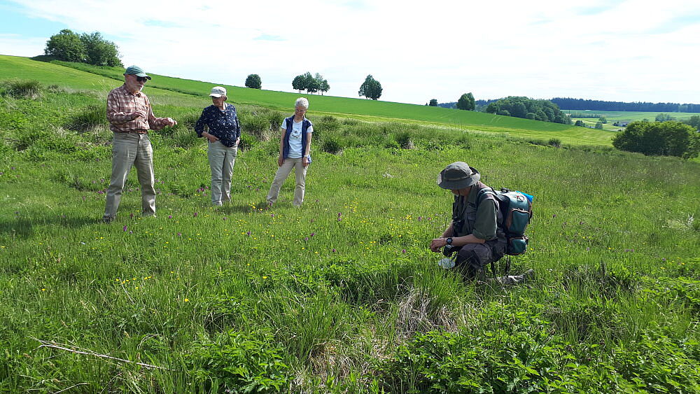 Niedermoor auf Kalksilikat im Fichtelgebirge