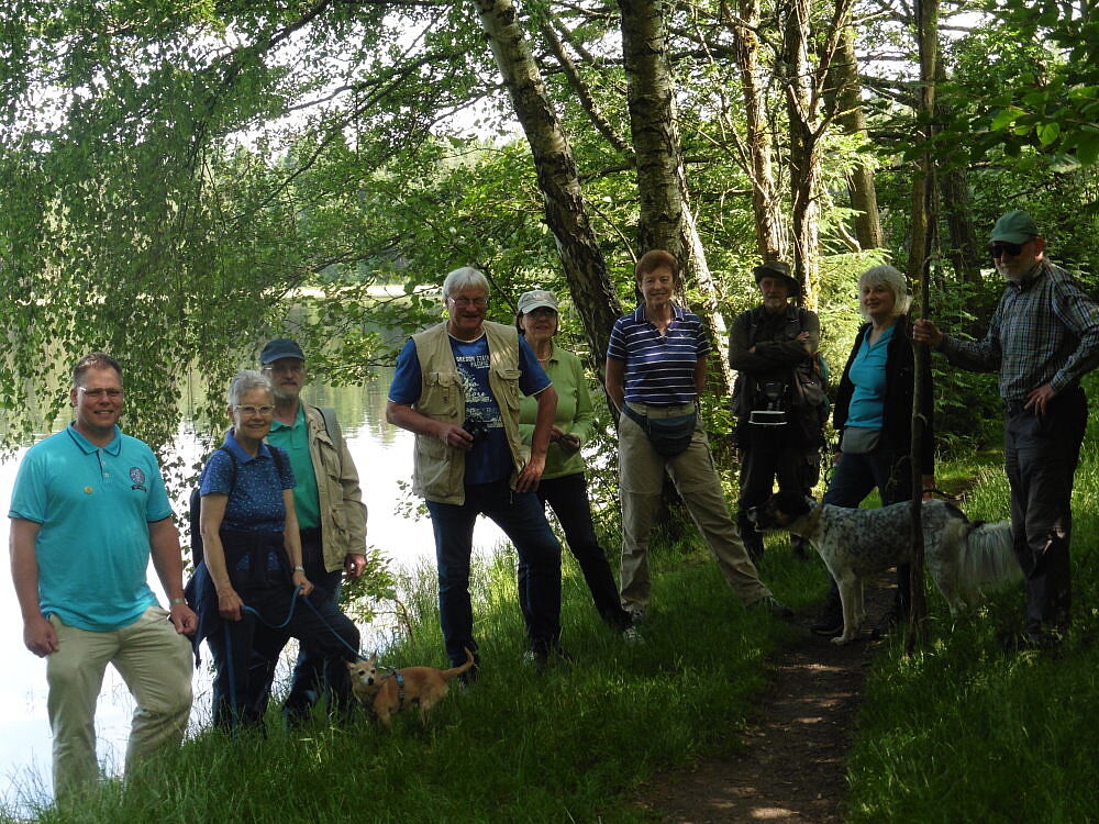 Breiter Teich bei Selb im Fichtelgebirge