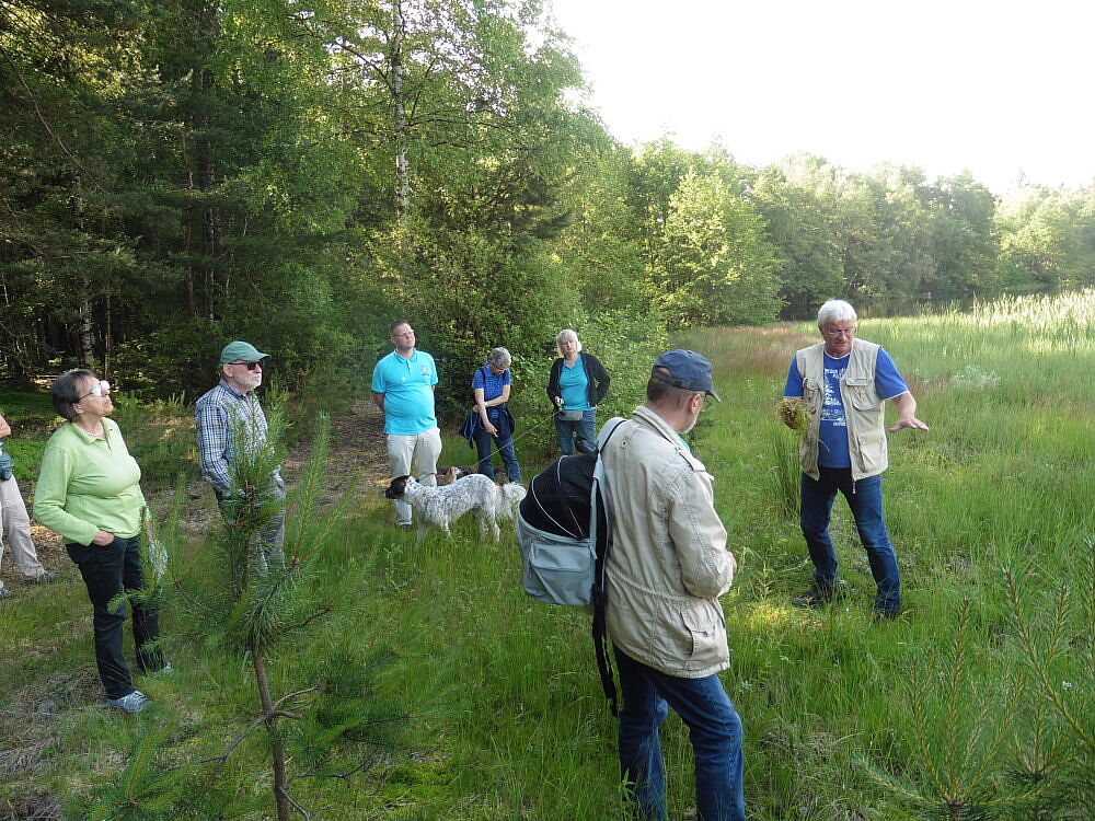 Breiter Teich bei Selb im Fichtelgebirge