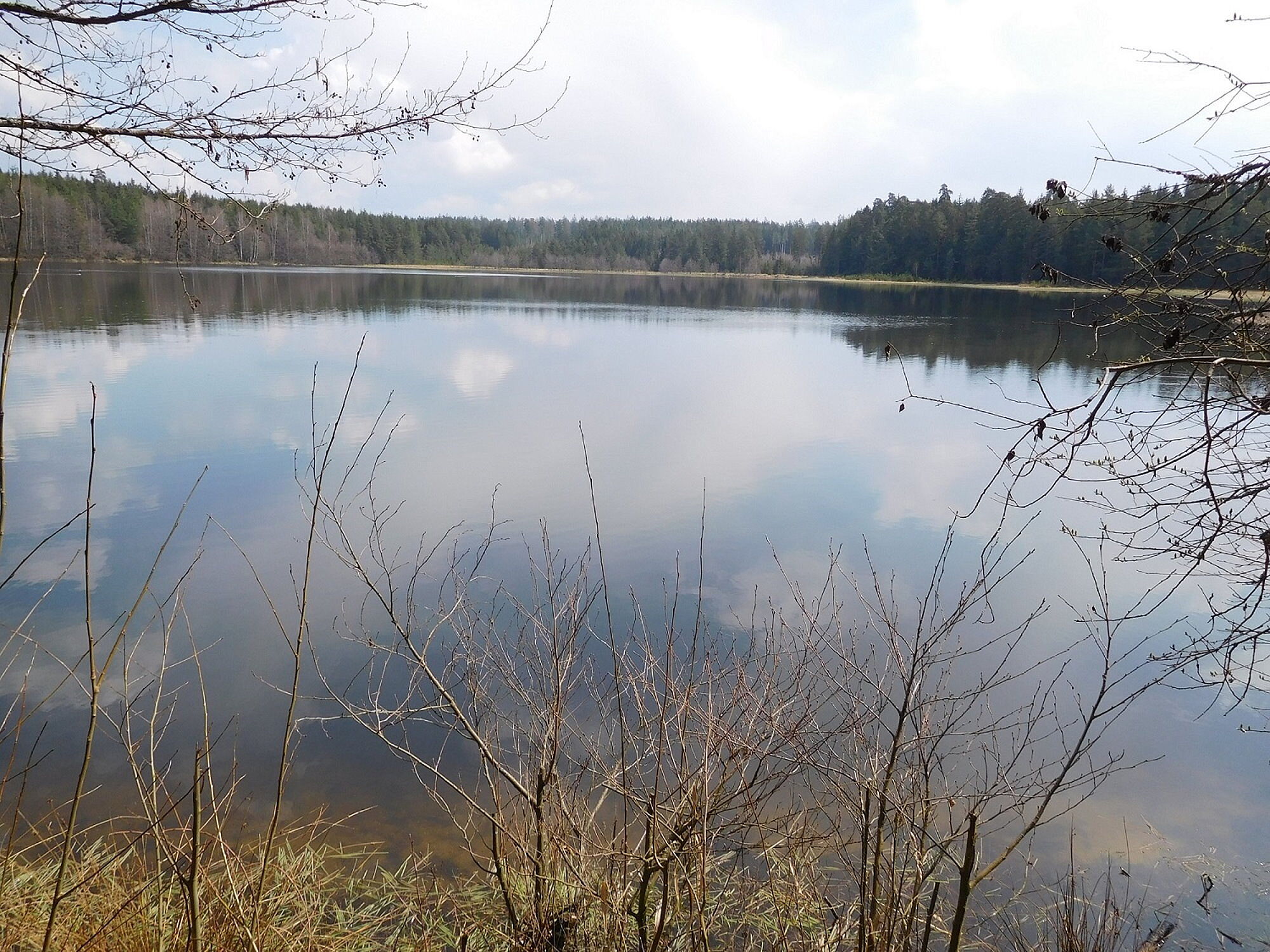 Moorteich Breiter Teich bei Selb , Teil eines grenzüberschreitenden Moorverbundes