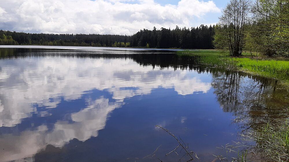 Moorteich Breiter Teich Selb Fichtelgebirge