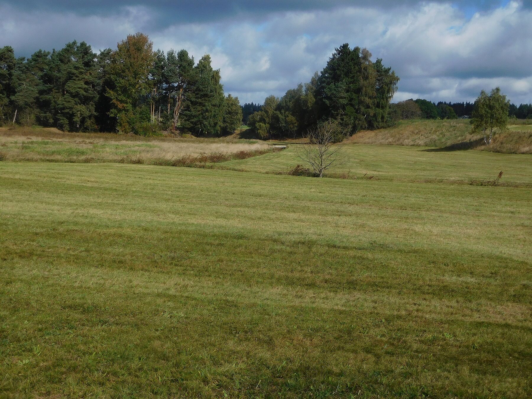 Dangesbachtal bei Thierstein im Fichtelgebirge