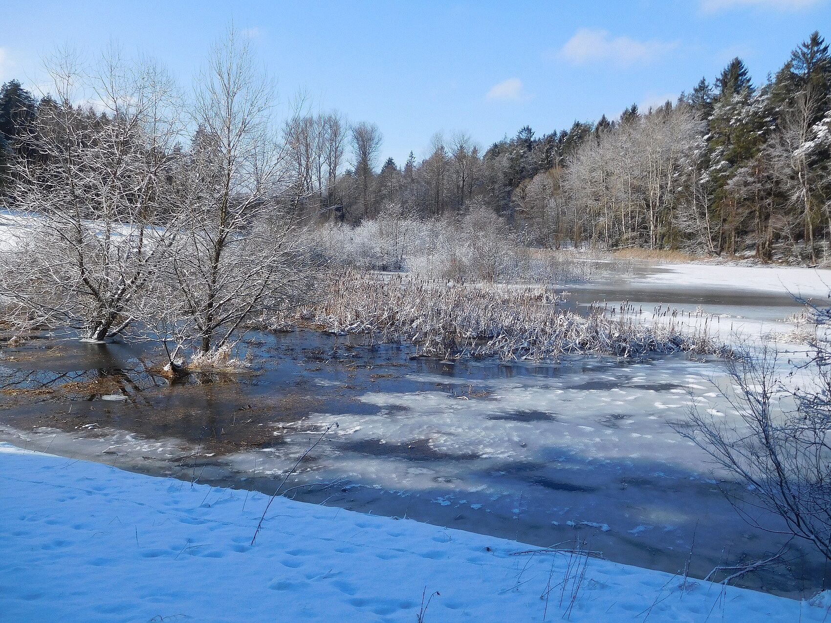 Krebsteich Gemarkung Höchstädt Fichtelgebirge