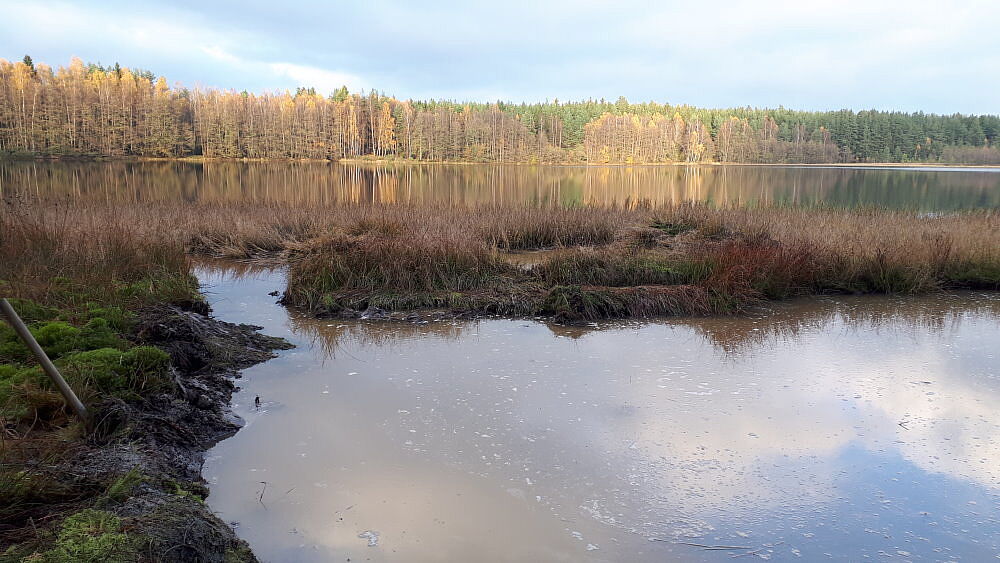 Moorteich Breiter Teich bei Selb , Teil eines grenzüberschreitenden Moorverbundes