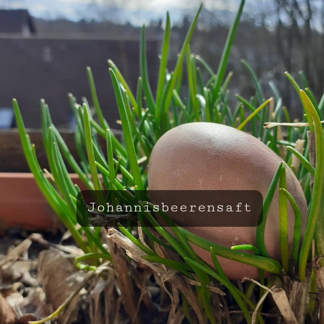 Diese Farbe bekommt man mit Johannisbeersaft