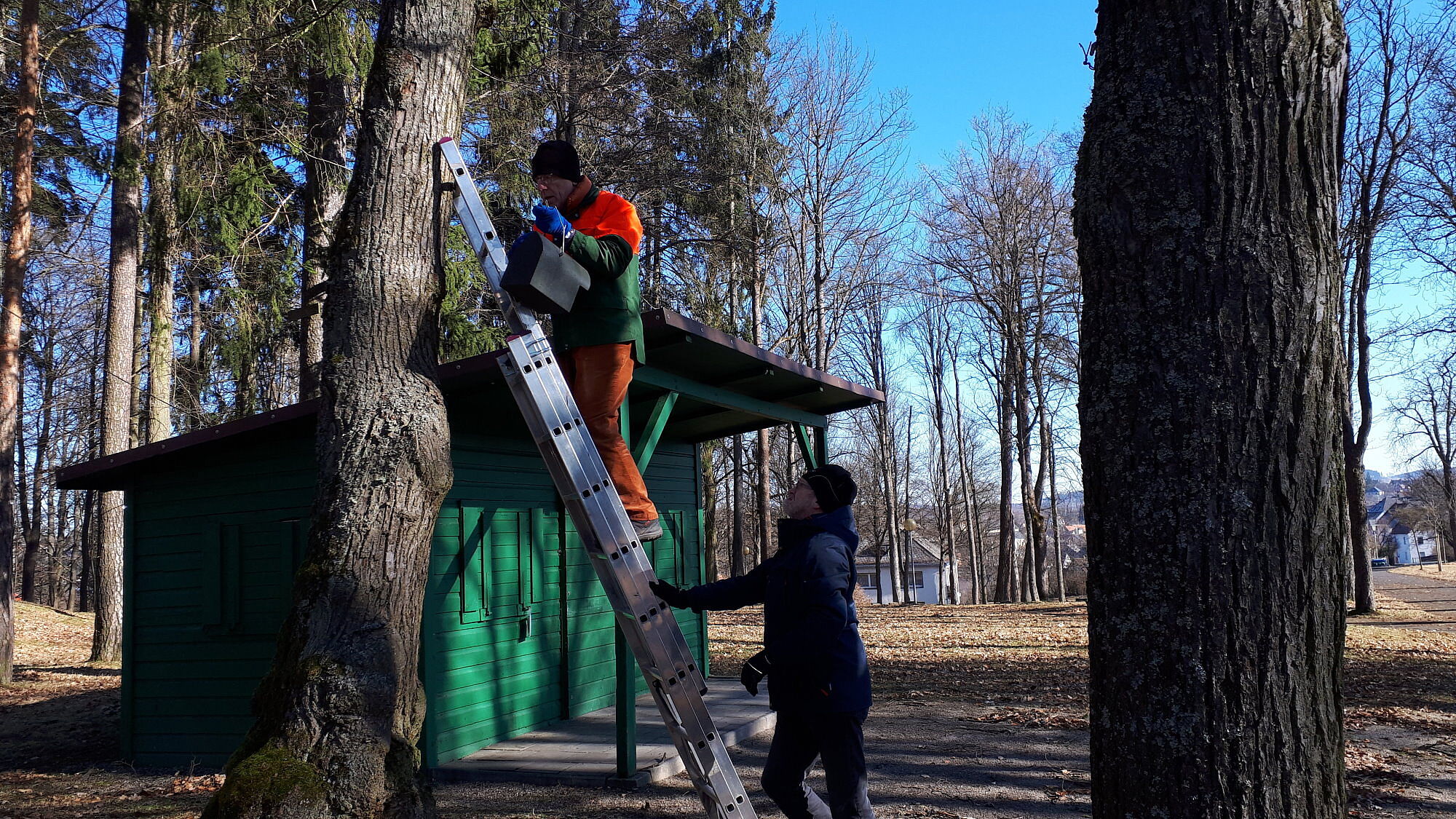 Nistkästen Goldberg Wiesenfestplatz Selb Fichtelgebirge