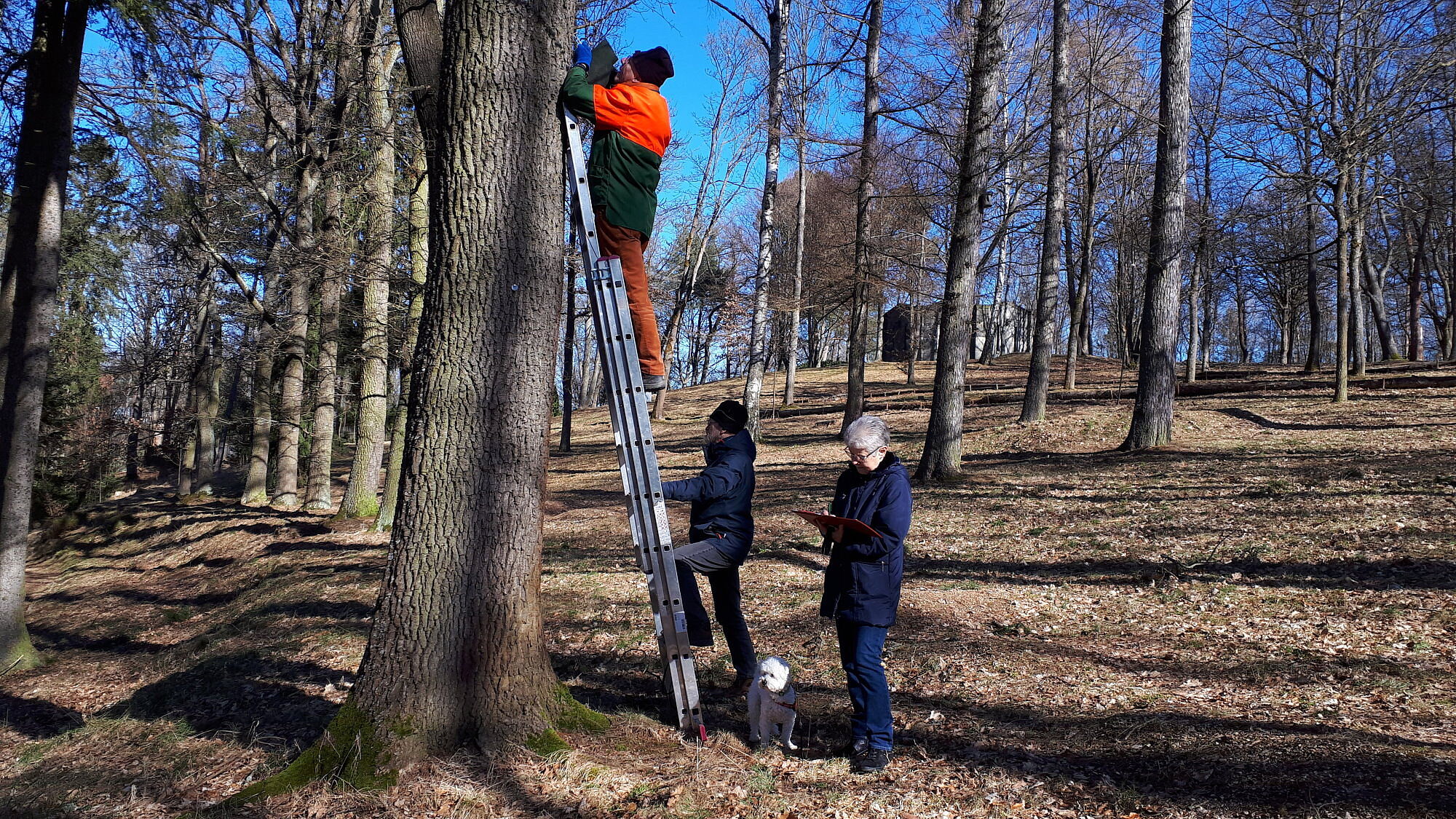 Nistkästen Goldberg Wiesenfestplatz Selb Fichtelgebirge