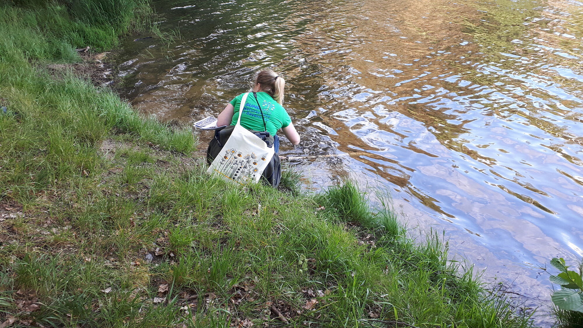 Breiter Teich, Selb, Fichtelgebirge