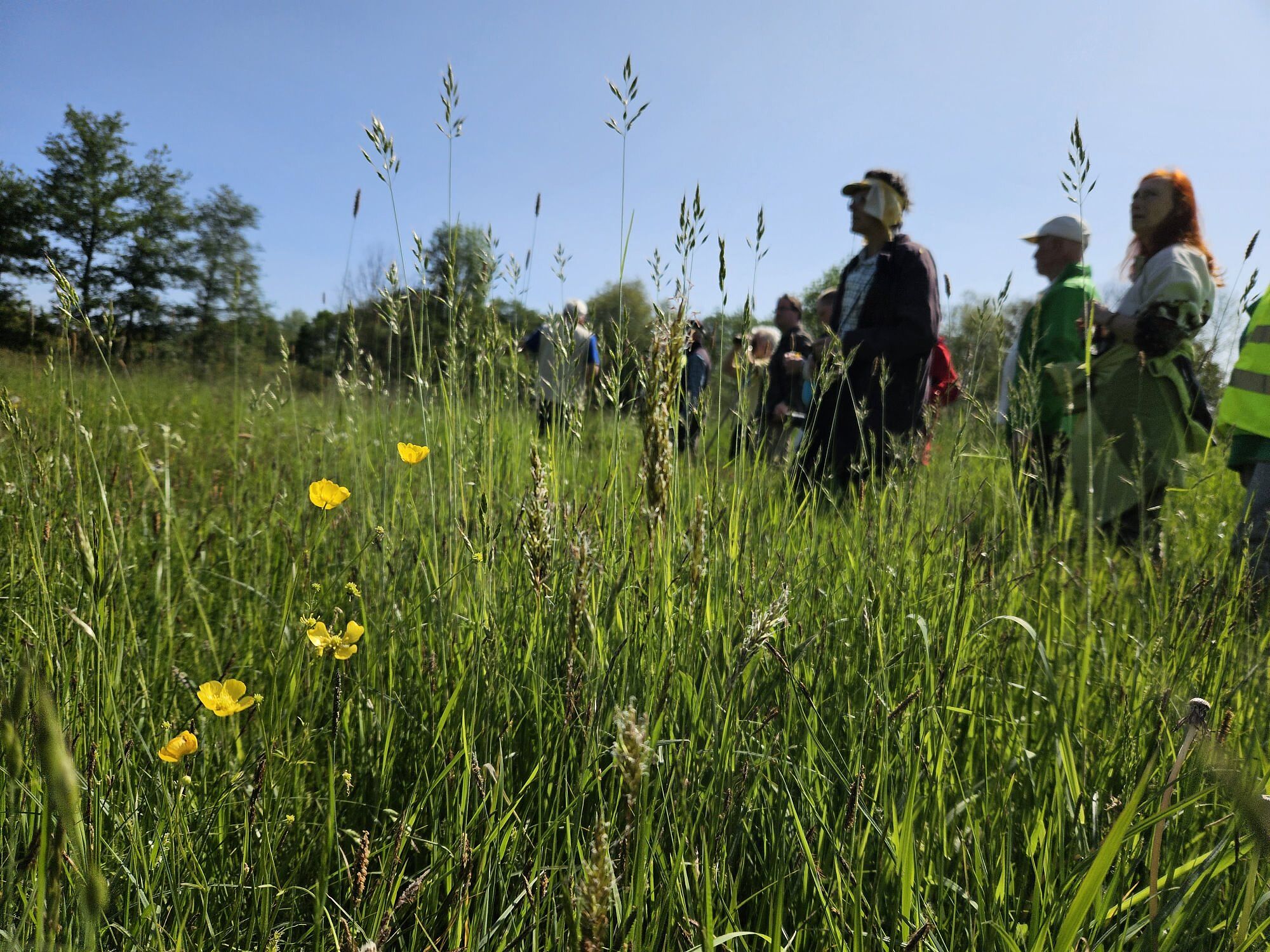 Grünes Bayern Bayern Fischern Eger/Röslau Fichtelgebirge