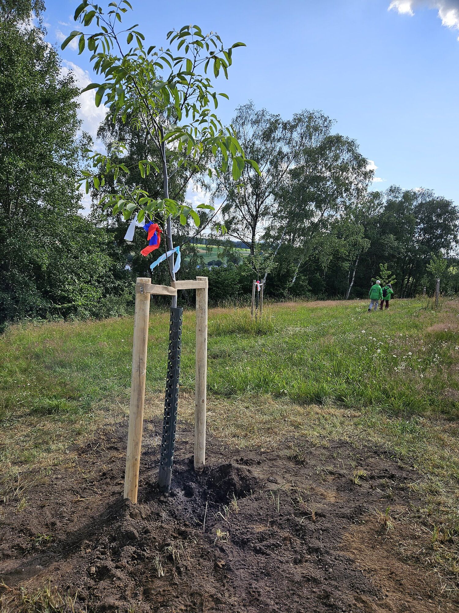 Streuobstwiese Oberweißenbach Selb Fichtelgebirge