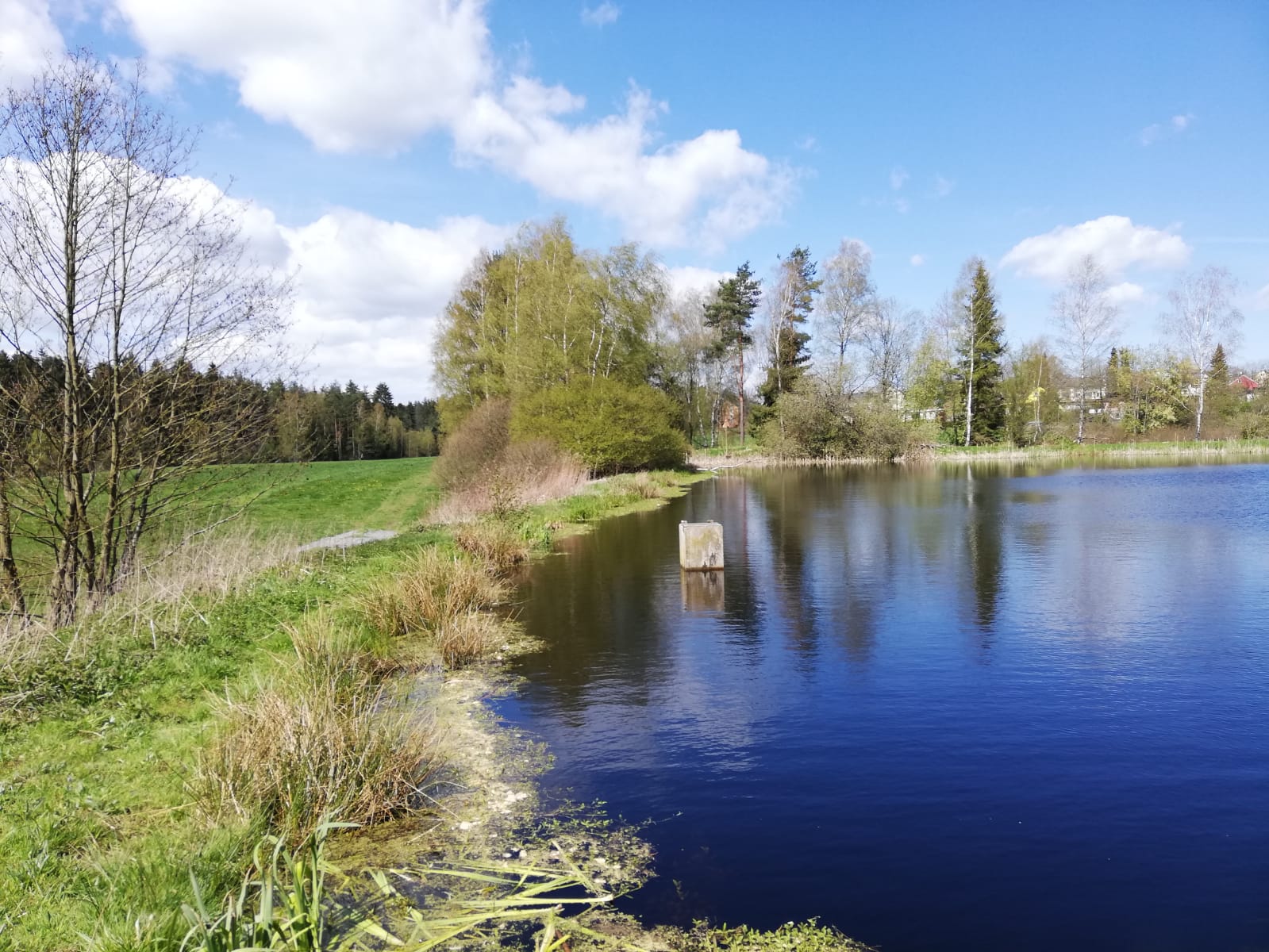 rama dama im Landkreis Wunsiedel