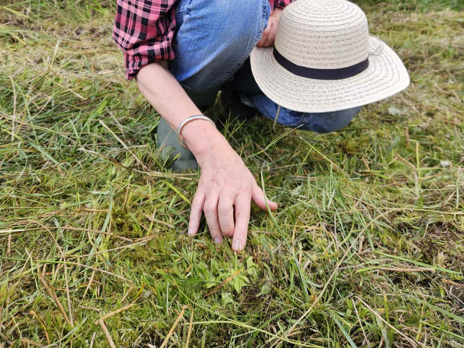 BN-Wiesenpflegemaßnahmen im Landkreis Wunsiedel