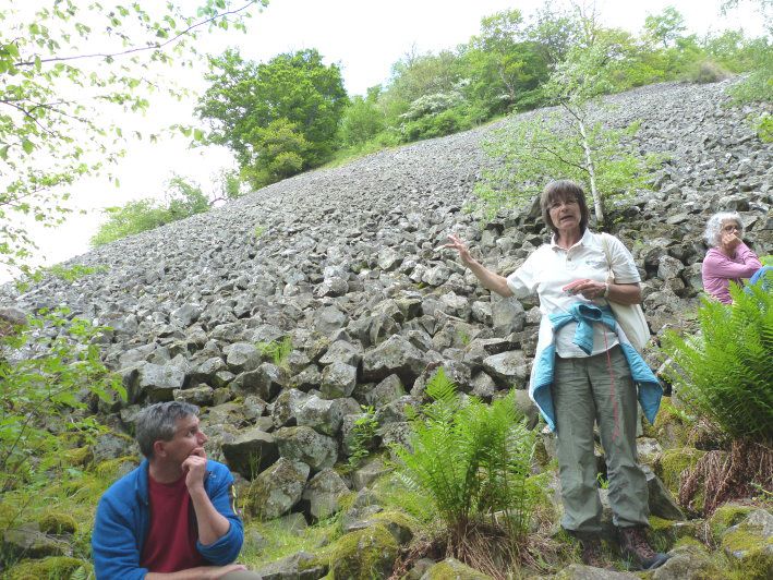 Basalt-Blockschutthalt am Rauhen Kulm
