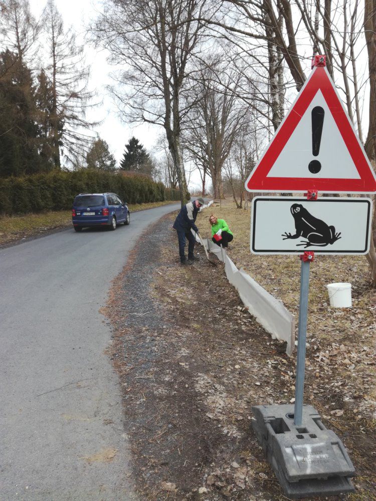 Amphibienzaun, praktischer Naturschutz der BN-OG Marktredwitz
