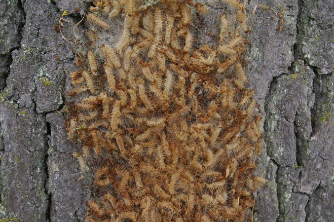 Klausur der BN-Kreisgruppe Wunsiedel