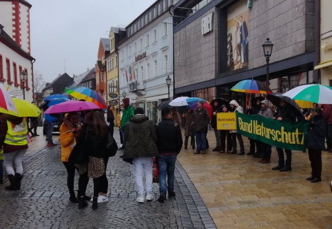 Friday for future Marktredwitz Friday for future am 15. März 2019 in Marktredwitz