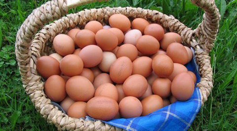 Regionale Lebensmittel, Getränke, Speisen