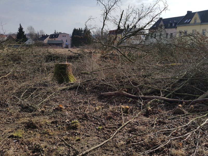 Kahlschlag für den zukünftigen Parkplatz des Outlet Centers Selb