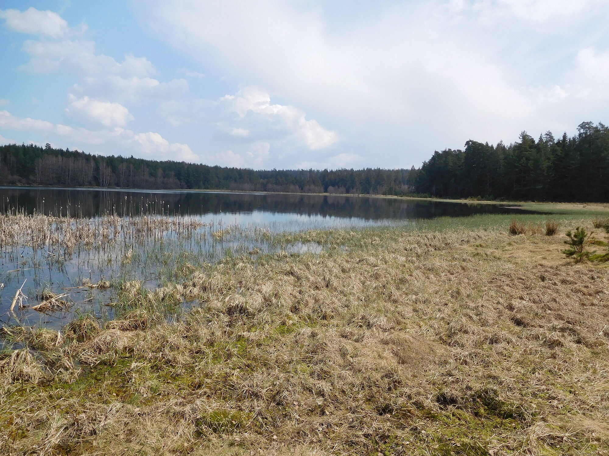 Breiter Teich, Natur-Juwel im Grünen Band Bayern-Tschechien