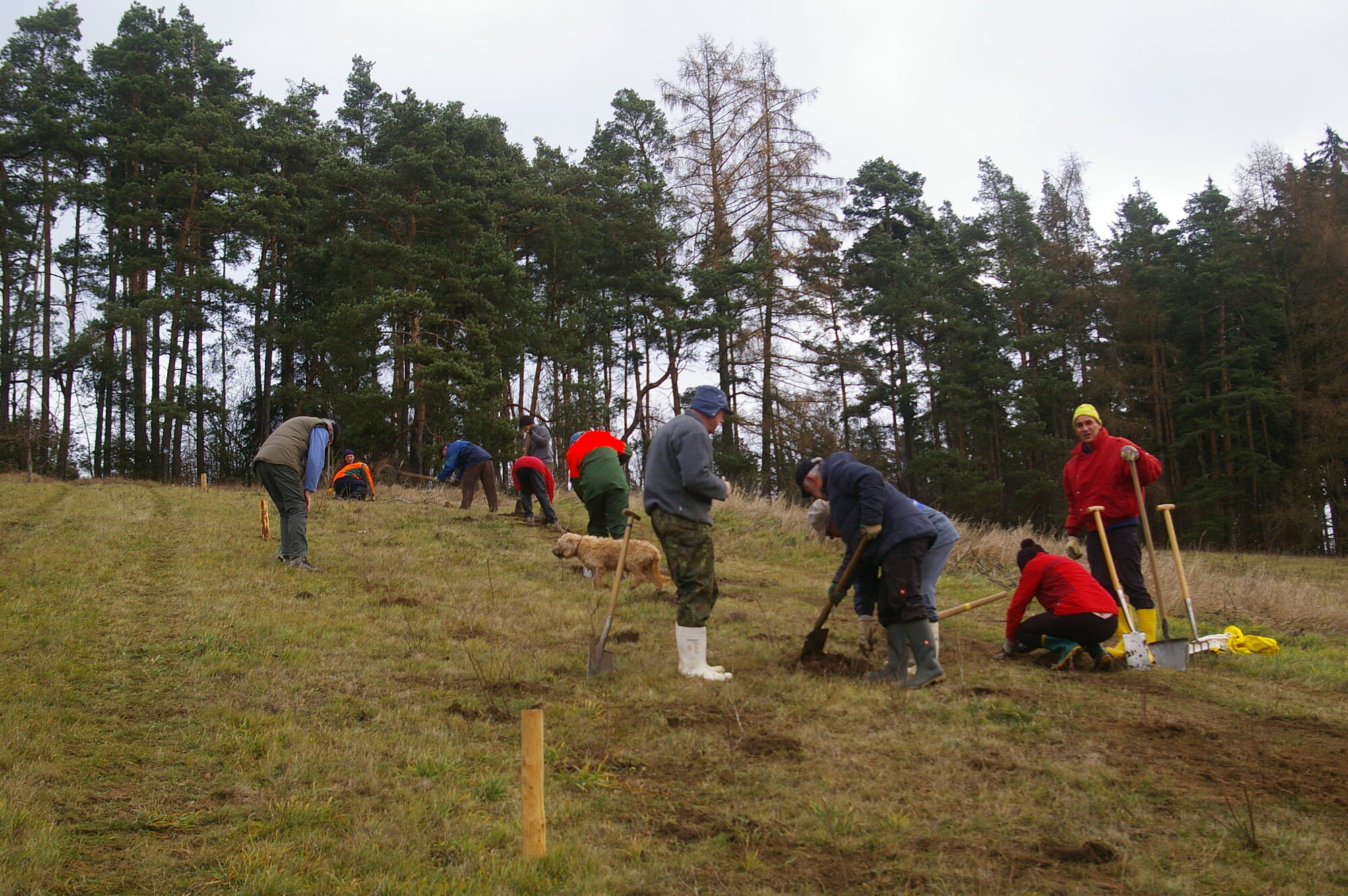 Naturschutzarbeit im Bund Naturschutz