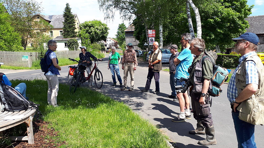 Niedermoor auf Kalksilikat im Fichtelgebirge