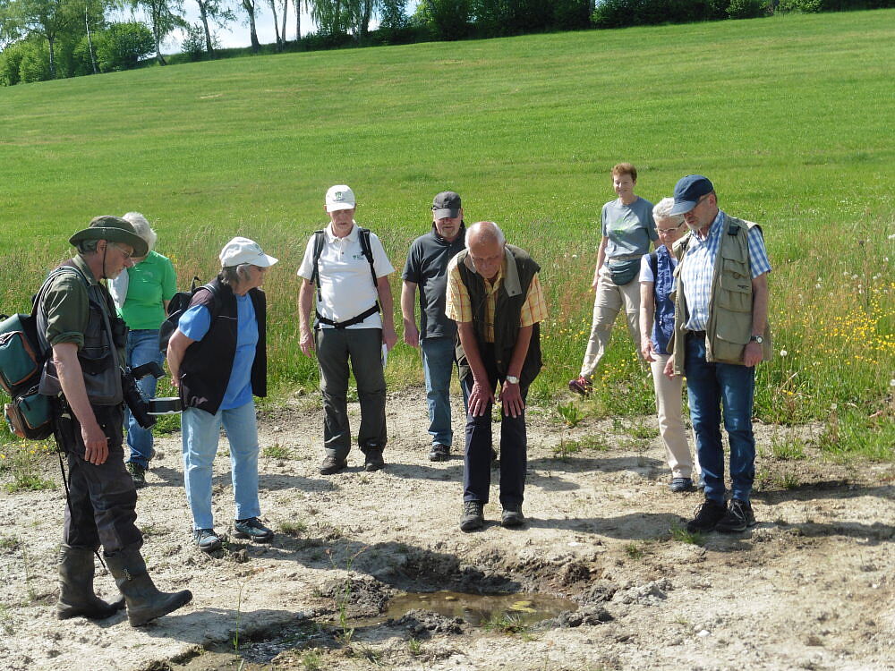 Niedermoor auf Kalksilikat im Fichtelgebirge