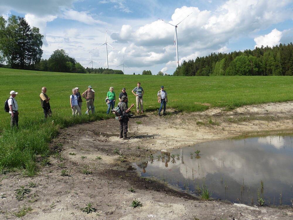 Niedermoor auf Kalksilikat im Fichtelgebirge