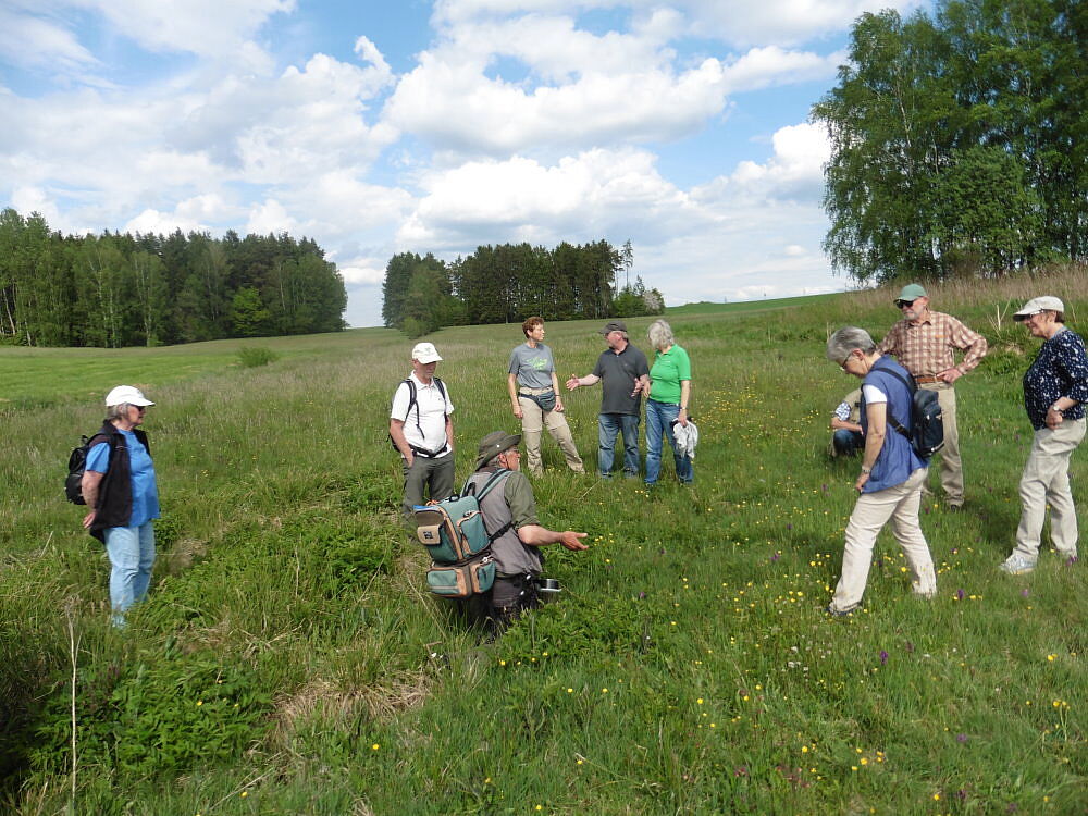 Niedermoor auf Kalksilikat im Fichtelgebirge