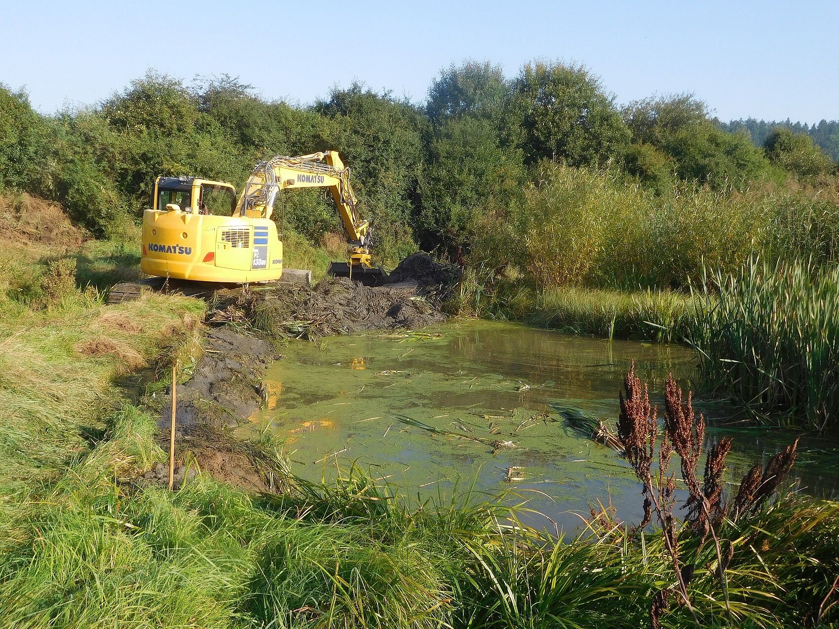 Krebsteich Gemarkung Höchstädt Fichtelgebirge