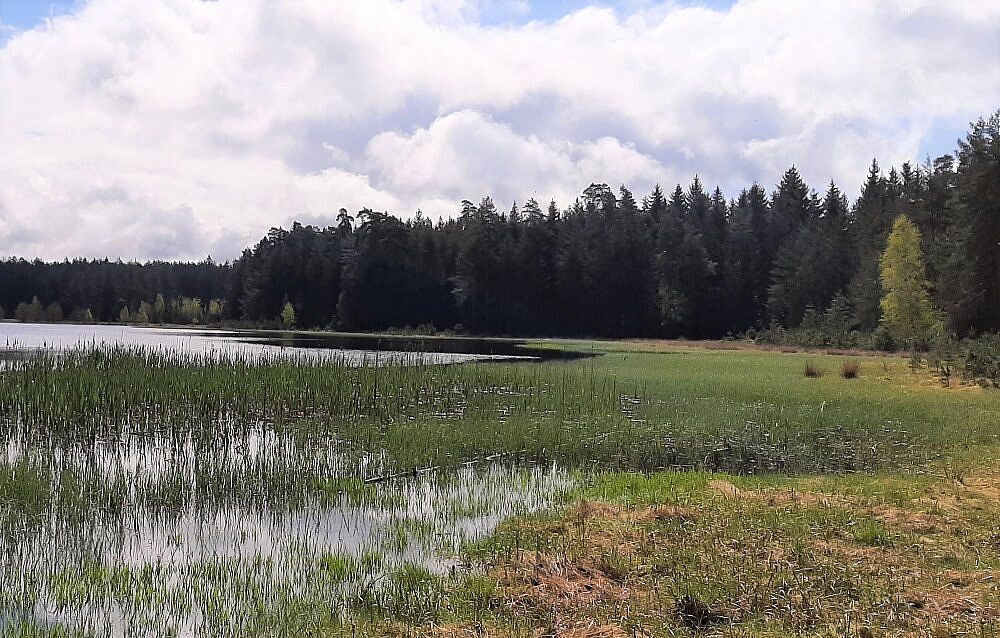 Breiter Teich Selb Grünes Band Fichtelgebirge