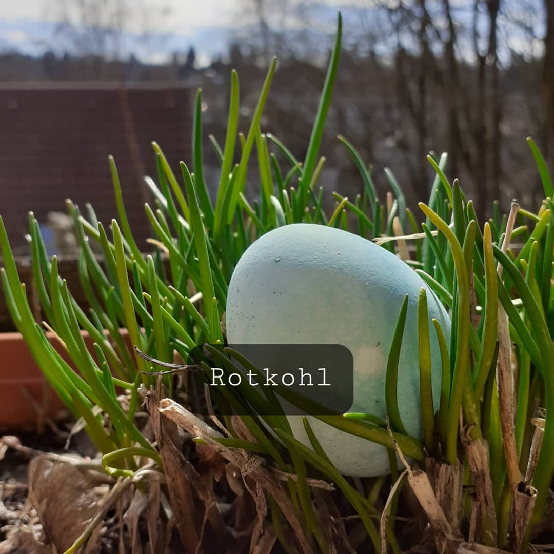 Einen Blauton erhält man mit Rotkohl