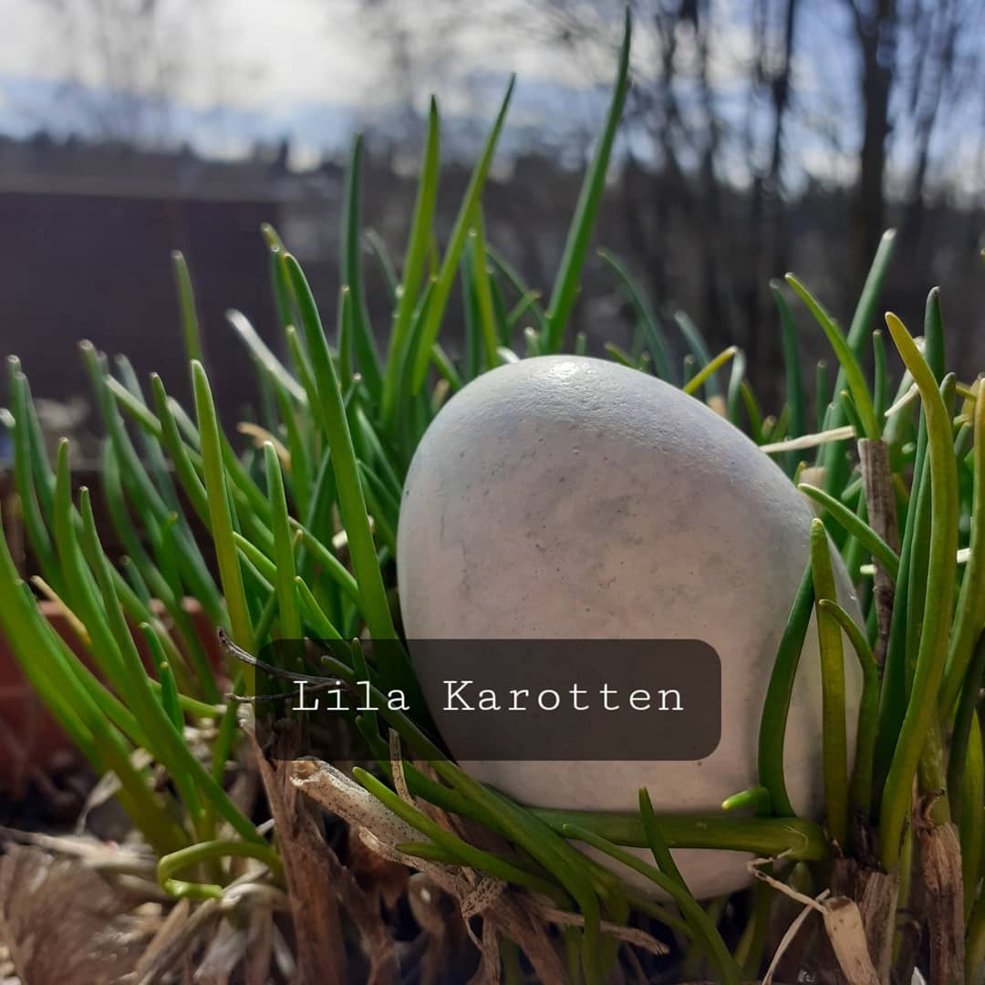 Auch lila Karotten färben ab