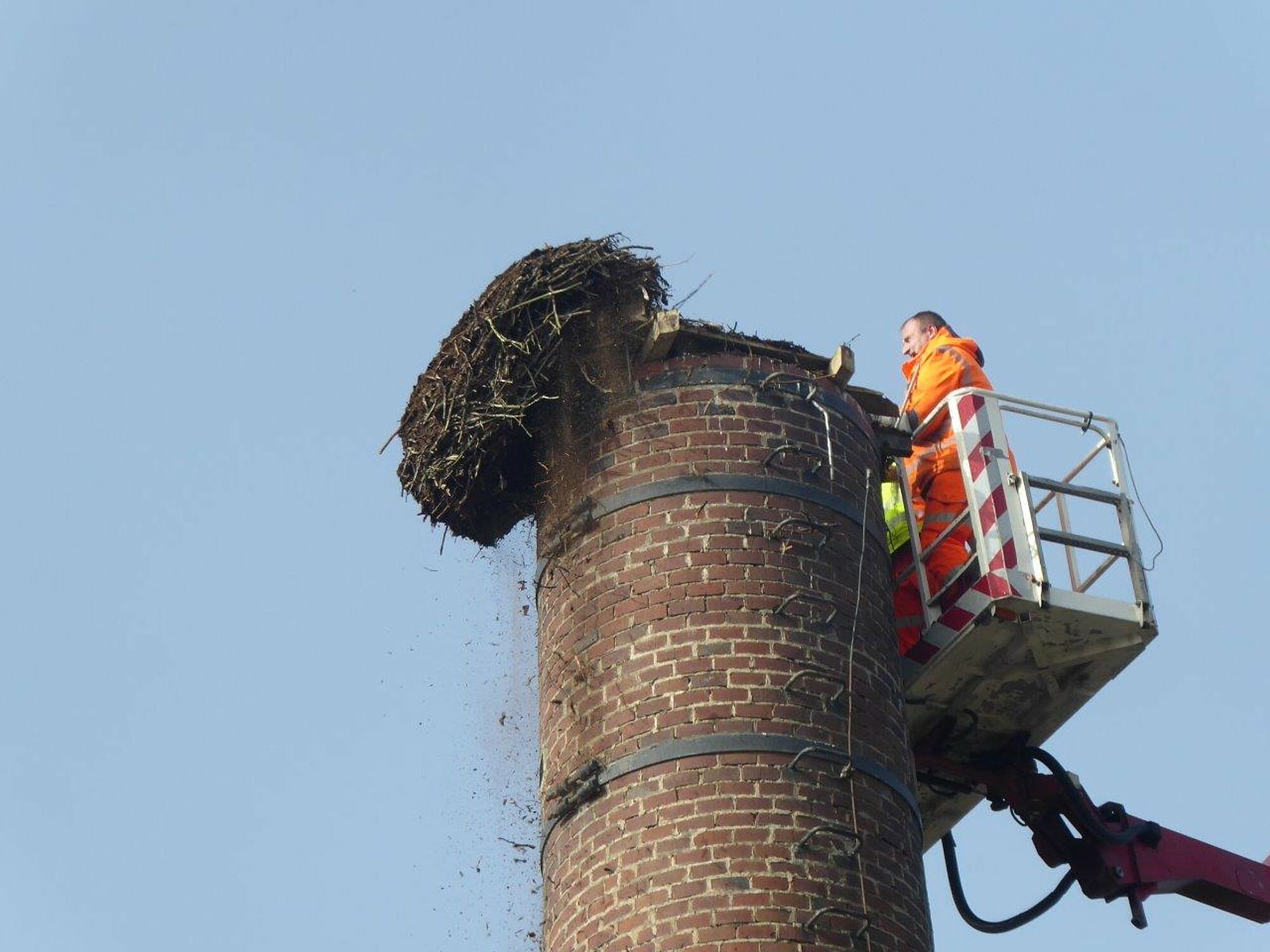 Storchenhorst Weißenstadt im Fichtelgebirge