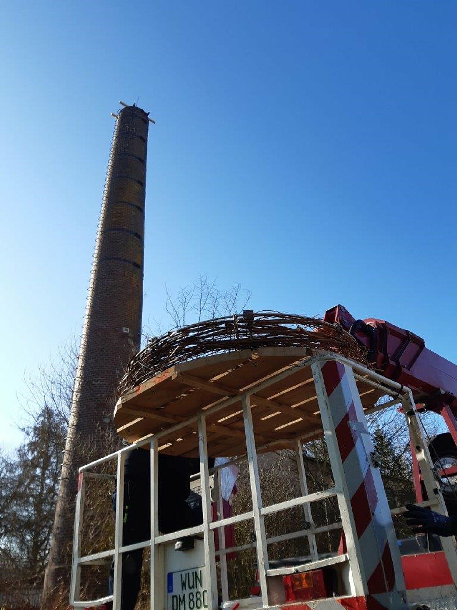 Storchenhorst Weißenstadt im Fichtelgebirge