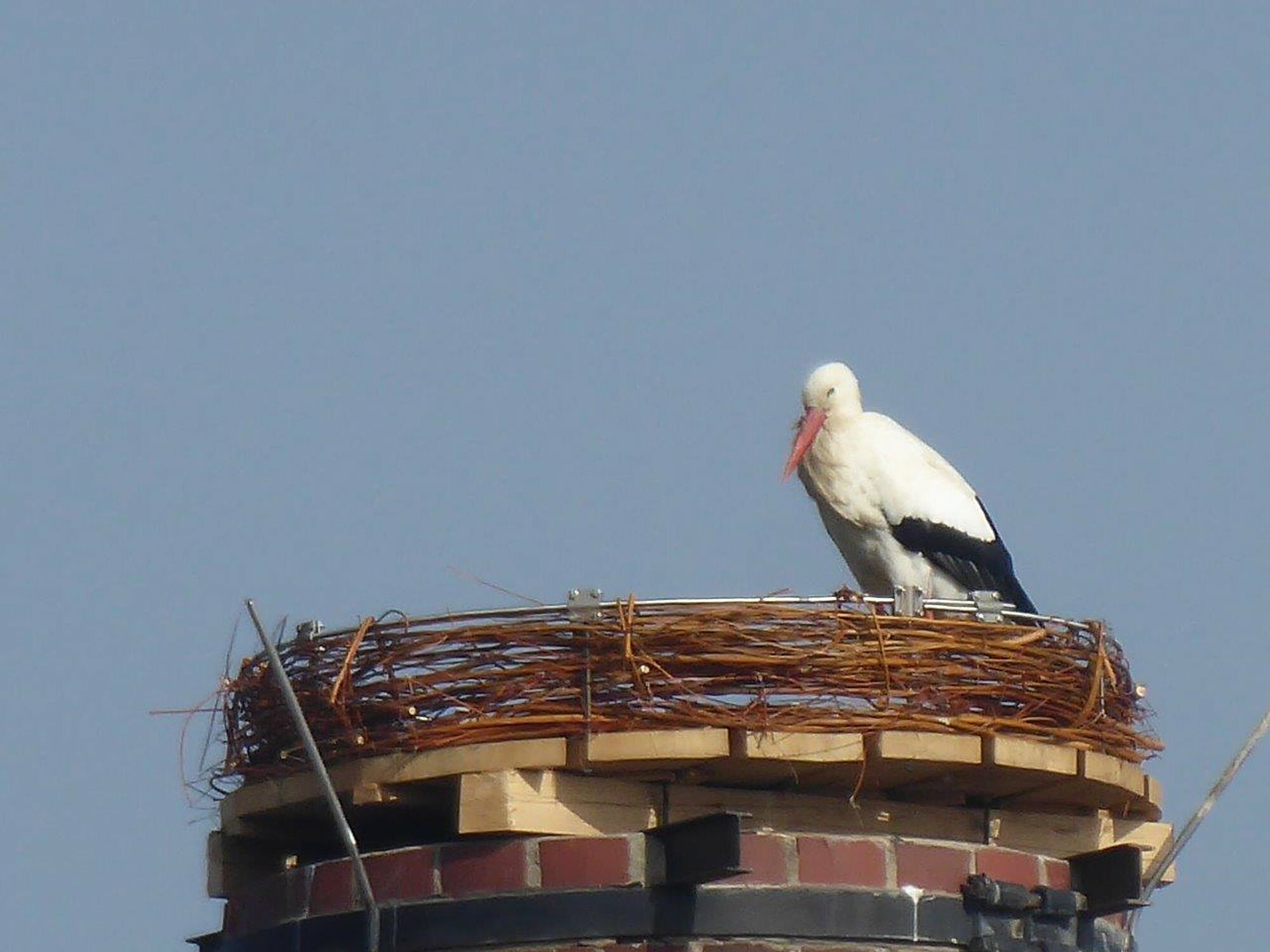 Storchenhorst Weißenstadt im Fichtelgebirge