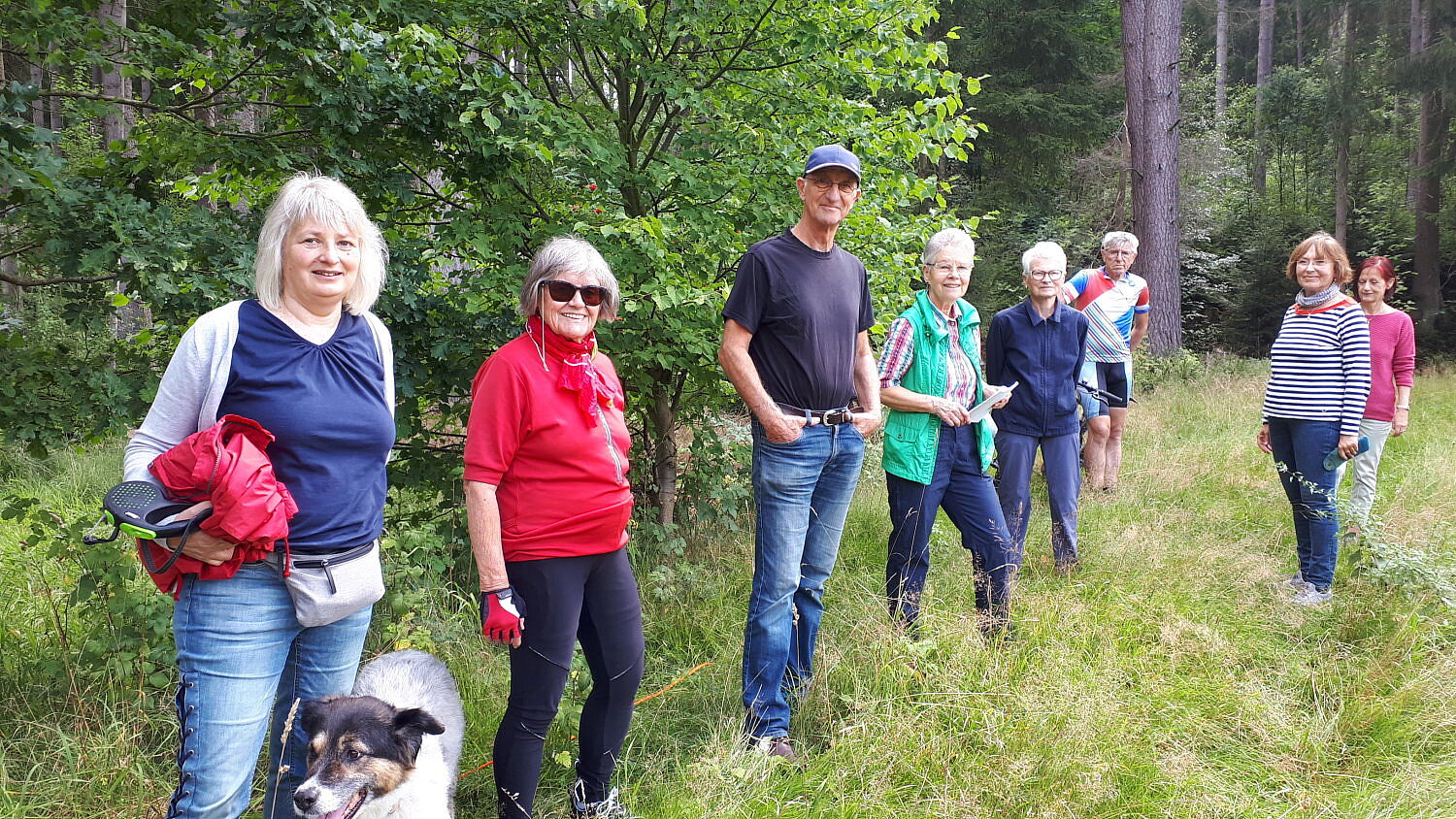 Herrenoberweiher Herrenoberweiher Fichtelgebirge Libellen Amphibien