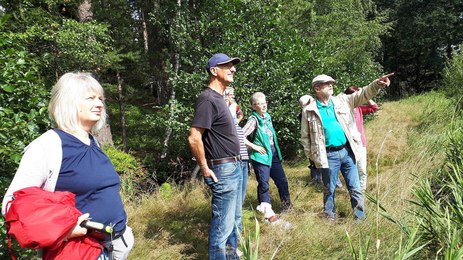 Herrenoberweiher Herrenoberweiher Fichtelgebirge Libellen Amphibien