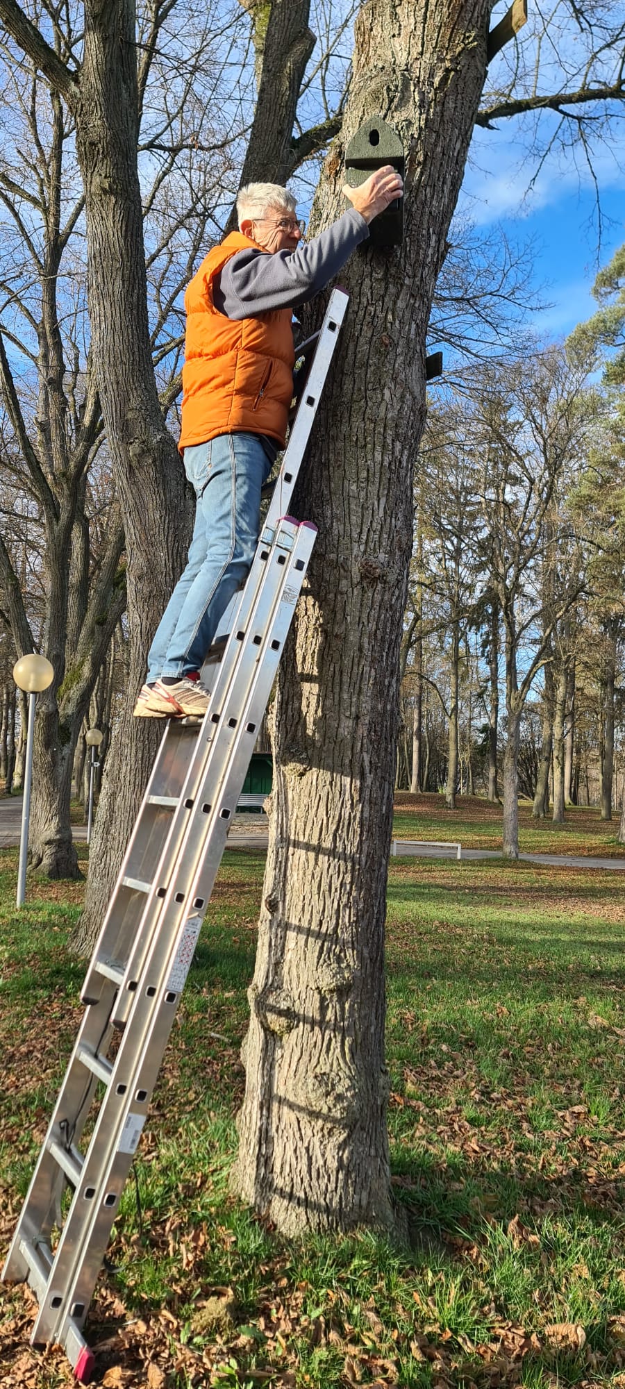 BN-Nistkästen Goldberg BN-OG Selb Nistkästen am Goldberg