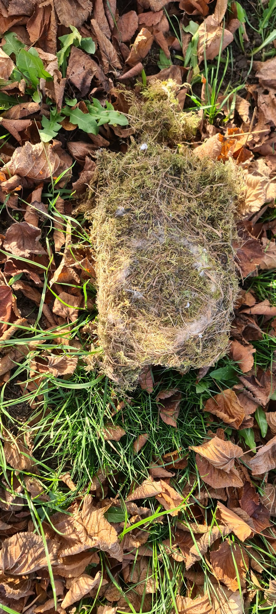 BN-Nistkästen am Goldberg BN-OG Selb Nistkästen am Goldberg