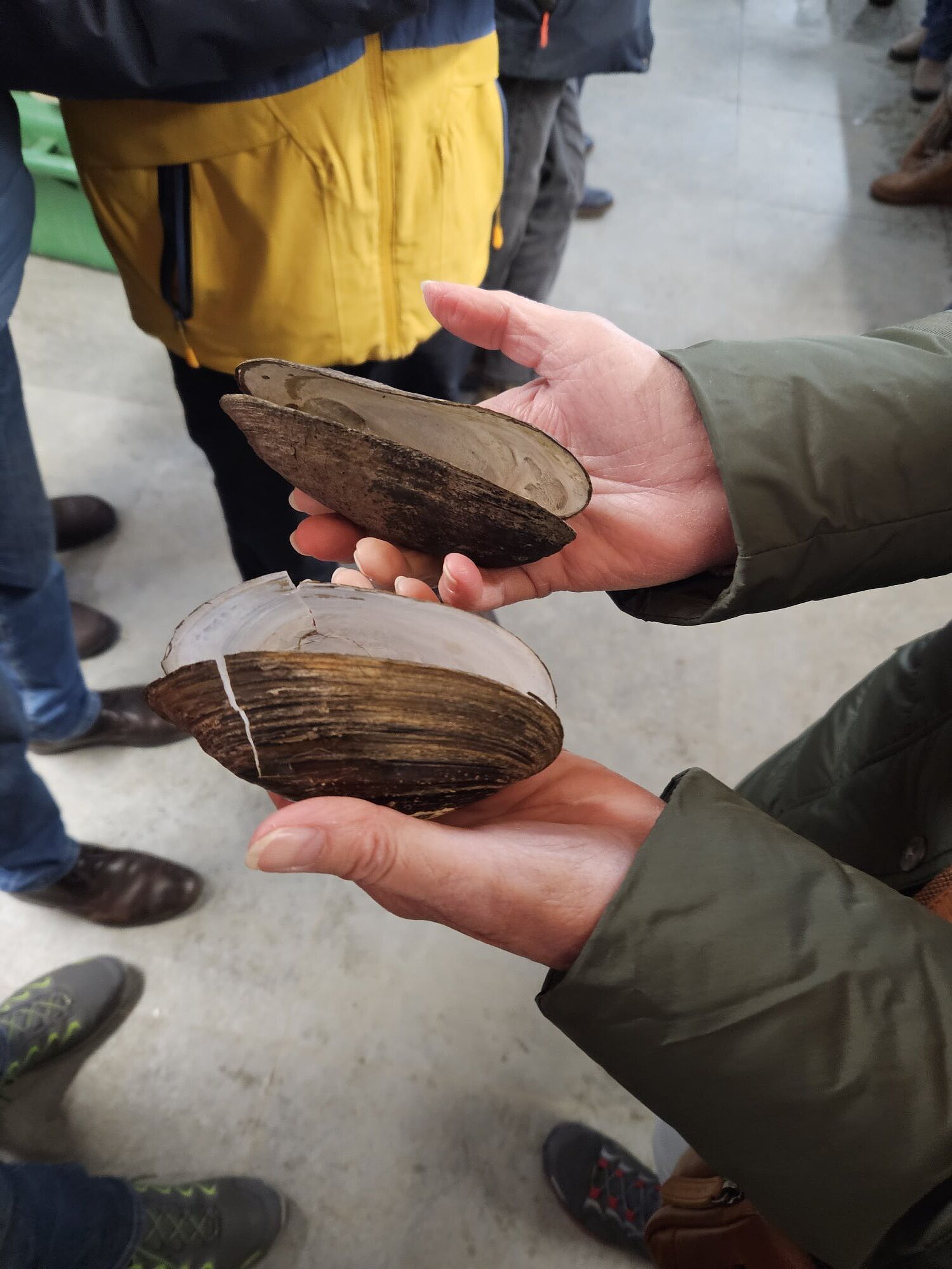 Huschermühle Flussperlmuschel-Aufzuchtstation der KG-Hof in und bei der Huschermühle an der tschechischen Grenze